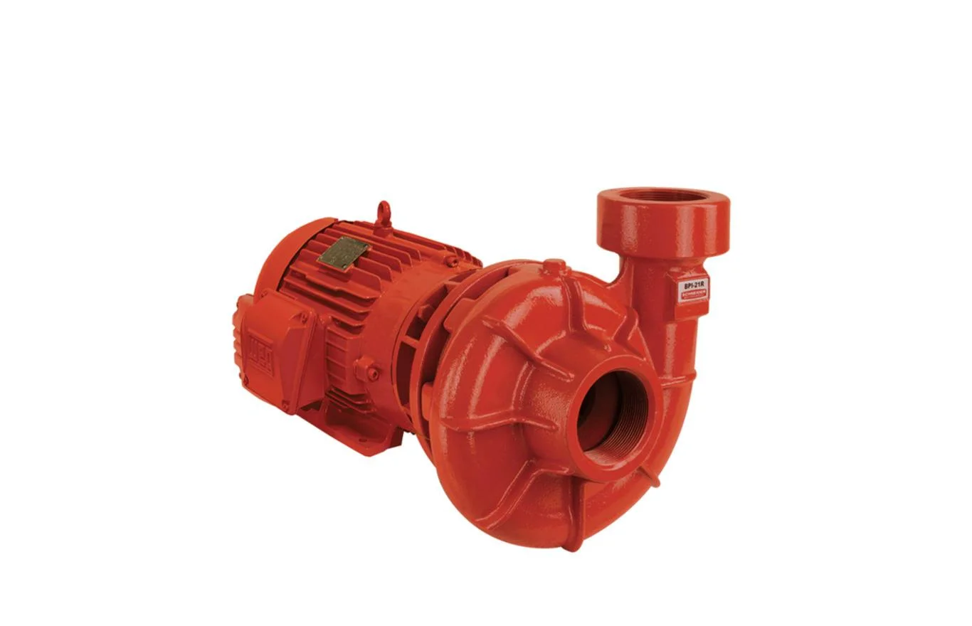 Motobombas para Prevenção e Combate a Incêndio Schneider – Série BPI